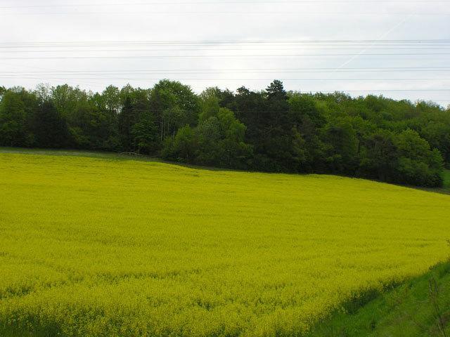 טונר Auberge De Bourgogne מראה חיצוני תמונה